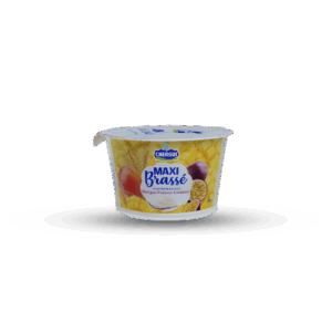 CHARGUI MAXI MANGO 180g