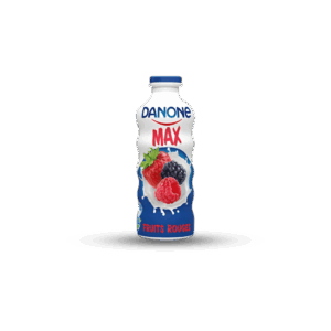 DANONE MAX FRAISE 250G