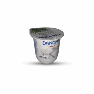 DANONE NATURE SANS SUCRE 110G