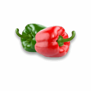 POIVRON ROND