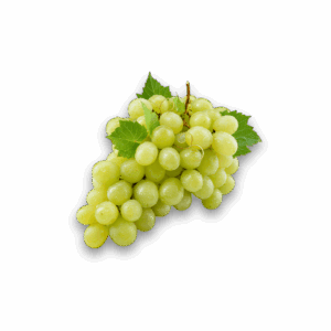 RAISIN BLAN LOCAL