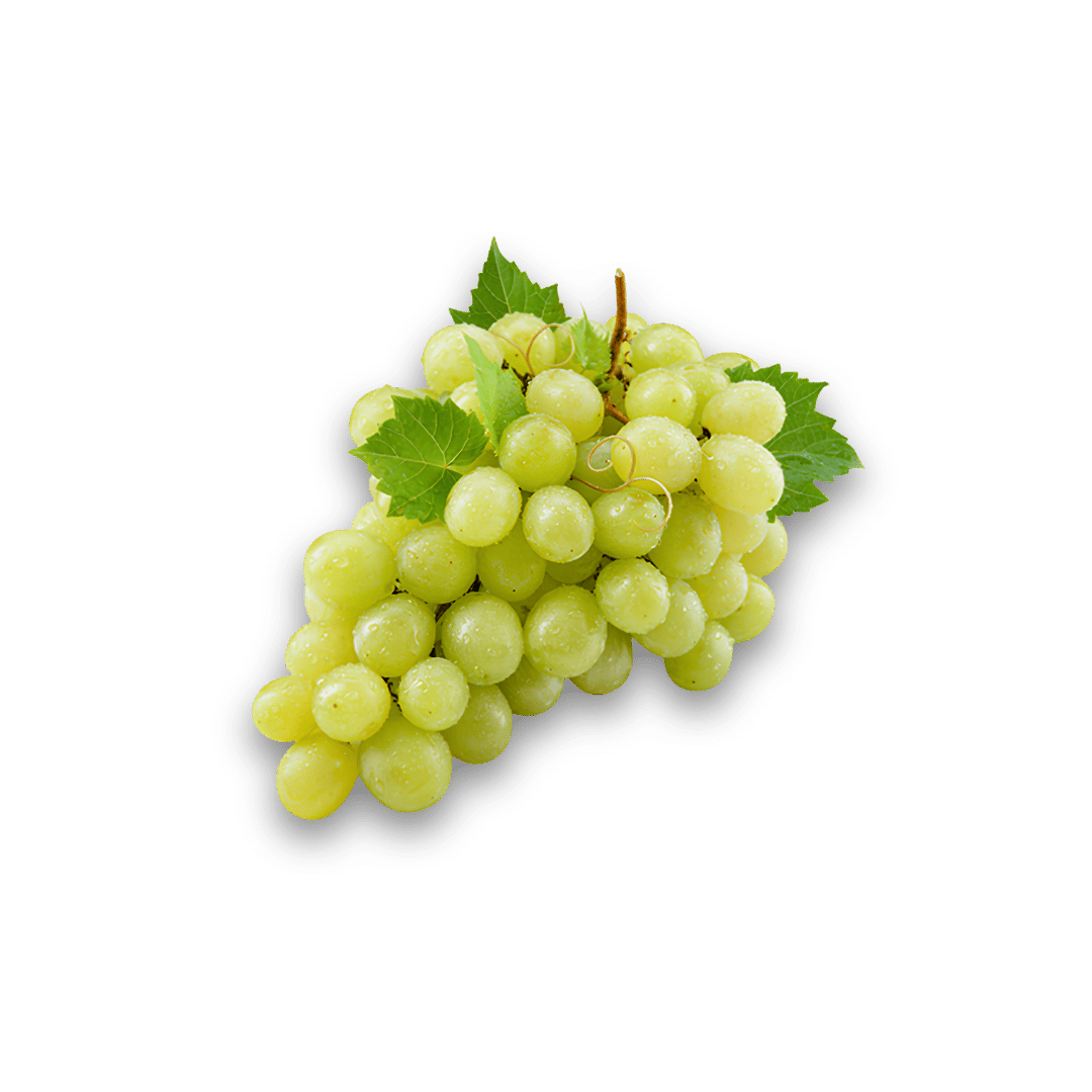 RAISIN BLAN LOCAL