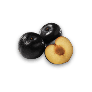 PRUNE LOCAL