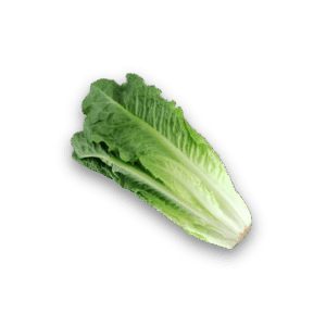SALADE ROMAINE