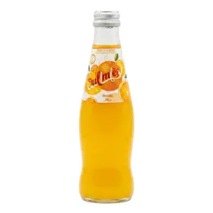Oulmès Bulles Fruitées Orange 250 ml