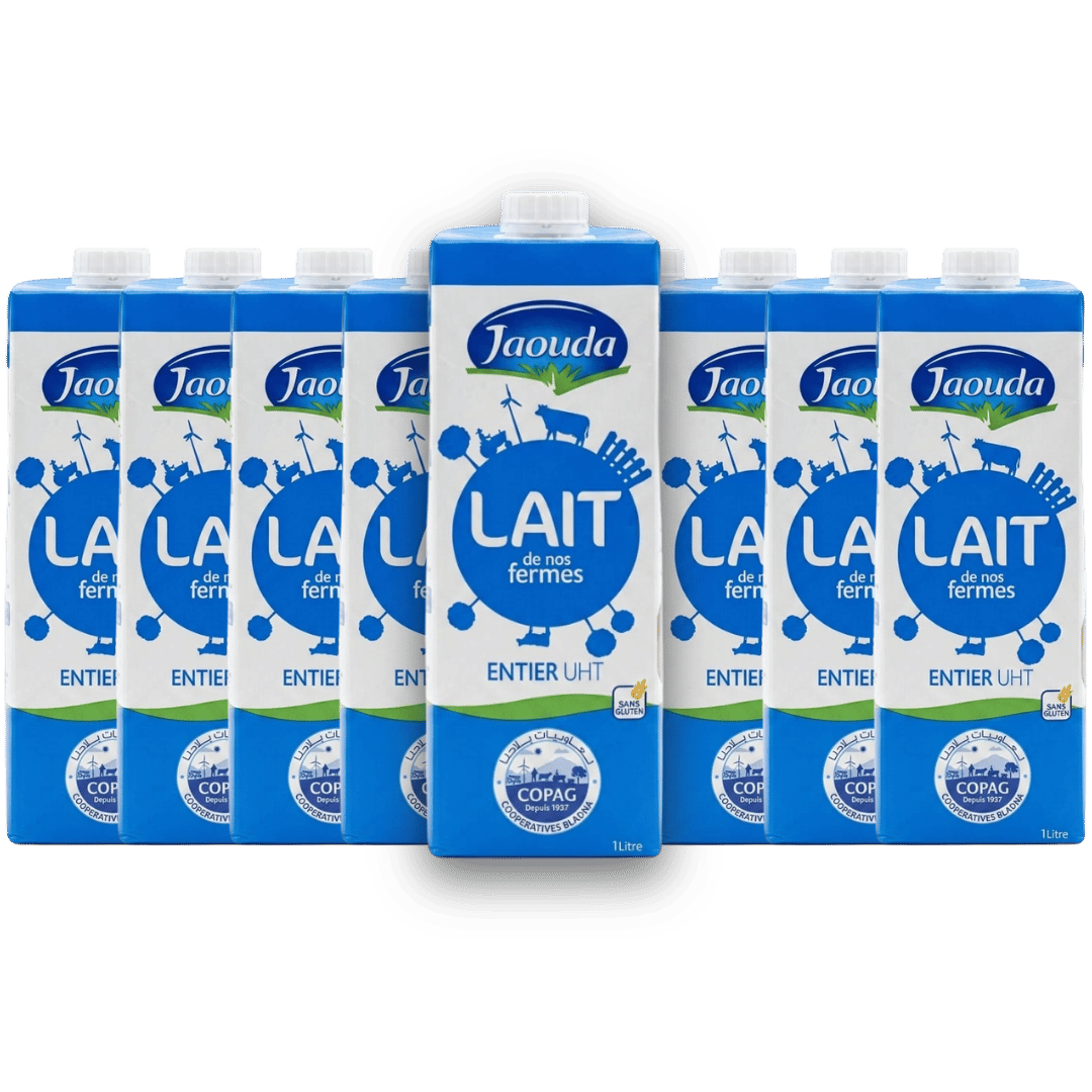 Pack Lait UHT JAOUDA 1LX10