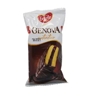 gâteau génoise enrobé de chocolat Excelo